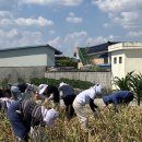 완주군 보건소 이미지