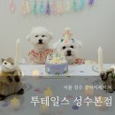 투테일스 이미지