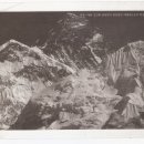 에베레스트 닮은 "수석"과 산호화석 "지" 하늘산호 이미지