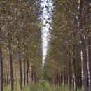 영림농장 이미지