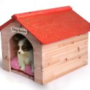 Dog House 이미지
