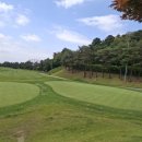 씨씨25(CC25)