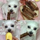 행복하개 희희멍멍 이미지