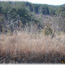 에코농장 이미지