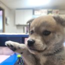 샵울산바다낚시 이미지
