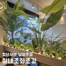 실내 조화조경 인테리어 전문업체, 작은 매장 확실한 포인트! 청년샤브 남양주점
