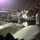 한강오리 이미지