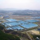 서산 97 충남인터넷뉴스