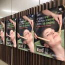 착수생춘비바채 네이버블로그