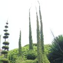 자연농원여명 | 경남 거제 외도 보타니아 – 한려해상국립공원의 숨은 보석