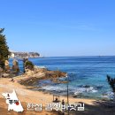 세븐일레븐 길동해그린점 | 동해 여행 코스 한섬 감성바닷길 한섬해변부터 하평해변까지
