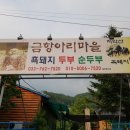금대리민박