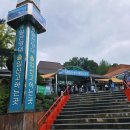 통일전망대 | 빗속에서도 가슴 벅찬 울림, 반려견과 함께한 고성 통일전망대 후기