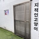(11/30) 양모펠트_키링 | 문래이색데이트: 지적인 고양이 양모펠트 인형 체험 후기