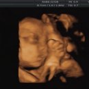 연세봄산부인과의원 이미지