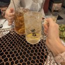 호다다애견유치원 | 2025 10월 4주차 기록 - 낫띵리튼 문달 목디스크 한남동투어 출근룩 보다나물결고데기