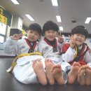 단국대 도솔태권도 이미지