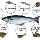 용덕장코다리 - 동래구 명안로25번길 94 | 용덕장코다리