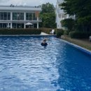 토토정푸드 | [아이랑 치앙마이/우기여행] 15일차 한강식당, 푸파야 마사지, 수영레슨, Mu's 돈부리