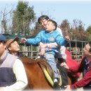 농업회사법인 영일(주)
