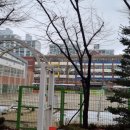 당촌초교 앞 이미지