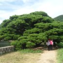 법기수원지 이미지