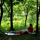 나무그늘식당 이미지