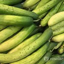 고령농산물 연합뉴스
