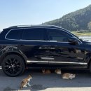 송천주유소화장실 이미지