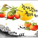 에스엠치과병원 네이버블로그