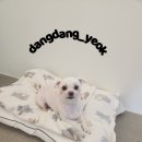 송내동1 이미지