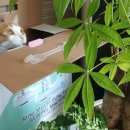 신나는재봉틀 이미지