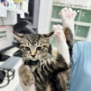 주안동물병원 이미지