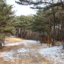 복명초등학교 이미지