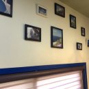 베조아니 이미지