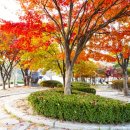 이천시 배드민턴경기장 이미지