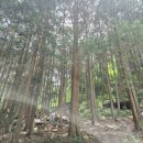 공기마을 편백나무숲 | [완주여행] 여름에도 좋은 상관 공기마을 편백나무숲(거리 6km, 쉬움)