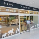 쿨펫동물병원 이마트금정점 이미지