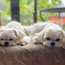 힐링하우스 운일암 이미지