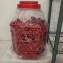 라프르따 이미지