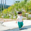 한영농장 이미지