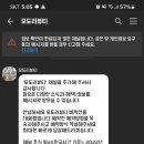 모도리뷰티 - 가평군 | 모도리뷰티
