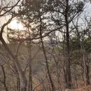 녹차밭약수터 이미지