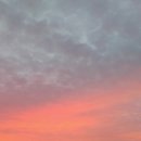 하울 공인중개사사무소 이미지