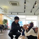 디어마이퍼피 이미지