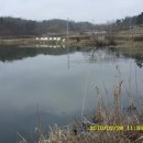 안영2 이미지