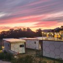 코지네이쳐 이미지