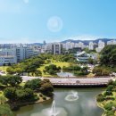 카이스트 머니투데이