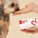 (주)케어사이드 이미지