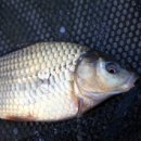 여주-0047 이미지